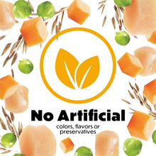 (6 pack) Purina Beneful Freshly Prepared Blends Wet Dog Food with Chicken, Carrots, Peas, and Wild Rice, 10 oz Tub - Brands For Less USA