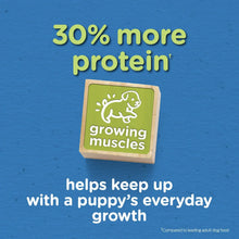 Purina Puppy Chow Complete Dry Dog Food, High Protein Farm-Raised Chicken & Rice, 15 lb Bag