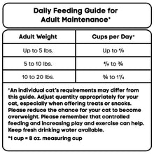 Special Kitty Complete Nutrition Chicken & Turkey Flavor Dry Cat Food, 16 lb Bag