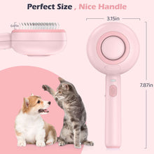 BEBANG Cat Steam Brush 3 in 1, One-Click Hair Removal Brush with Steam for Cats and Dogs