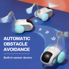 Risehigh Interactive Cat Toys for Indoor Cats 2-Speed Automatic Moving Remote Control Smart Cat Rechargeable Toy with Feathers, Blue