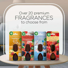 Air Wick Essential Mist Fall Scented Oil Air Freshener Diffuser Starter Kit, Apple Cinnamon, 2 Piece - Brands For Less USA