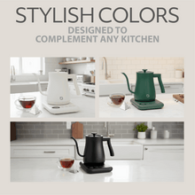 Willow Kitchen 1L Gooseneck Electric Kettle for Pour Over Coffee & Tea, Temperature Control & Automatic Shutoff, Rapid Boil Hot Water Kettle Pot, Black