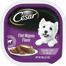 cesar1-_1 - Brands For Less USA