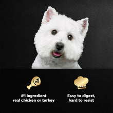 cesar12flavor3-_3 - Brands For Less USA
