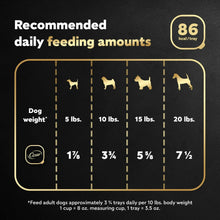 (6 pack) Cesar Classic Loaf In Sauce Smoked Bacon And Egg Wet Dog Food, 3.5 Oz Tray - Brands For Less USA