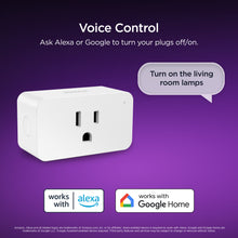 Roku Smart Home Indoor Smart Plug SE with Custom Scheduling, Remote Power, and Voice Control - up to 15 Amps