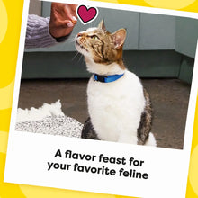 Temptations Mixups Surfer'S Delight Flavor Crunchy And Soft Cat Treats