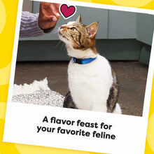 Temptations Mixups Surfer'S Delight Flavor Crunchy And Soft Cat Treats