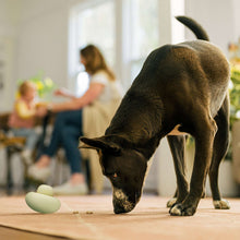 Earth Rated Nibbler Dog Toy, Treat Dispensing Enrichment Toy for Dogs