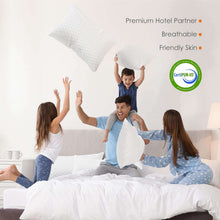 d805588f-aca7-4e50-a70d-83a2c9e522f7-cfc8bb881fe015f512e10e234ac22dfe-_5 - Brands For Less USA