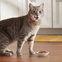 Meow Mix Tender Favorites Poultry & Beef Variety Pack, Wet Cat Food, 2.75 oz Cup