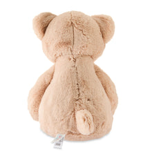 Spark.Create.Imagine Cuddle Bear, 12" - Brands For Less USA