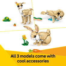 de09dd0b-498f-4a5d-8a05-b48a03140f13.2c920d3efd476c6ba693a90737e95853 - Brands For Less USA