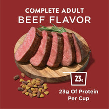 dogc4-_4 - Brands For Less USA