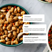 (4 pack) Freshpet Fresh Dog Food, Tender Chicken Recipe, Freshly Roasted Meals, 5.5 lb.