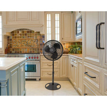 Lasko 16" Oscillating Pedestal Fan with Adjustable Height and Tilt-Back Head for Whole Room Cooling, Black, S16500