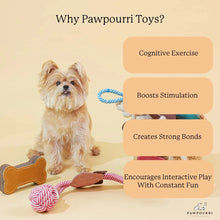 Juguete masticable de cuerda y cebra marrón Pawpourri para perros y gatos