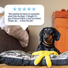 Febreze Fabric Spray Air Freshener, Odor-Fighting Fabric Refresher, Pet Odor Fighter, 23.6 fl oz - Brands For Less USA