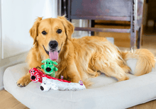 Multipet Plush Holiday Loofa Dog Toy with Sparkly Snowflakes, Stuffing & Squeaker, 3 pack with Red, Green & White, 12" Each