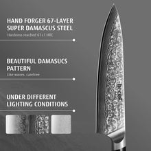 Hecef 8-Inch Chef Knife, Japanese Damascus Steel Blade with Resin Handle