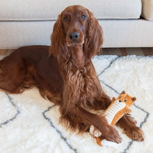 Outward Hound Stuffing-Free Big Squeak Fox Plush Dog Toy, Orange, Medium