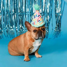 Party Animal Birthday Box Dog Toy Bundle, 5-Piece Set (Blue)