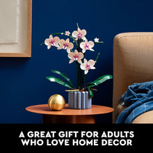 efd716f2-6612-4272-b1c3-f635116723fb.e973d59131064c6c695c512ecf3b5b54 - Brands For Less USA