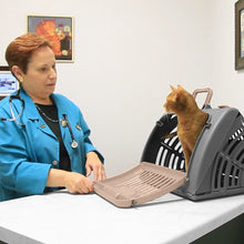 Sport Pet Designs Cat Carrier, Foldable Plastic, Medium, 25 lb Limit, Gray, 15.25" L x 18.5" W x 14.25" H