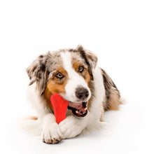 Play by Playology Dog Toys | Interactive Dog Toy Bone | Scented Crunchy Bone, Large