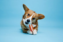 Hartz Chew n Clean Tuff Bone Dog Toy, Small, Color May Vary