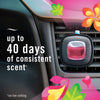 Febreze Car Air Freshener Vent Clips, Gain Original and Gain Island Fresh, 5 ct.