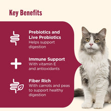 Nutrish Everyday Digestion Chicken Brown Rice and Salmon Recipe with Veggies Dry Cat Food, 13lb Bag