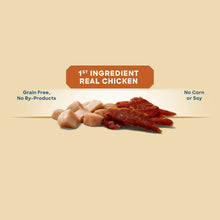 Golden Rewards chicken jerky dog treats made with real chicken first ingredient and no corn or soy