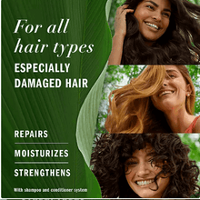 Herbal Essences Argan Oil & Green Tea Shampoo, 33.8 fl. oz.