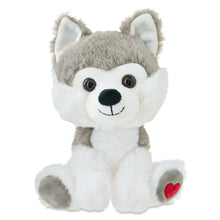 husky1 - Brands For Less USA