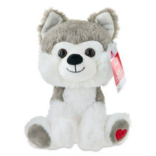 husky3 - Brands For Less USA