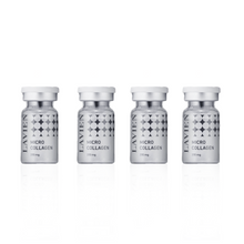 Collagen Pink Ampoule Program