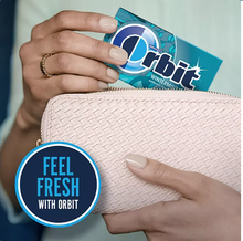 Orbit Mint Sugar Free Chewing Gum, Variety Pack, 14 pcs., 18 pk.