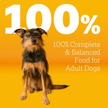 Pedigree adult dry dog food with 100 percent complete and balanced nutrition for adult dogs