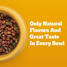 Yellow dog bowl filled with Pedigree adult dry dog food showing natural flavors and great taste
