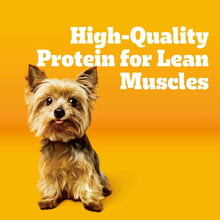 pedigree3-52-bc019ccc-fd8c-49fb-a2e2-f764f7182477-_2 - Brands For Less USA