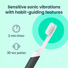 quip Sonic Electric Toothbrushes, Marine and Charcoal, with 4 Replacement Brush Heads, 2 pk. - Brands For Less USA