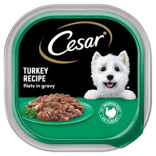 (3 pack) Cesar Filets in Gravy Turkey Recipe Flavor Adult Wet Dog Food, 3.5 oz Tray - Brands For Less USA