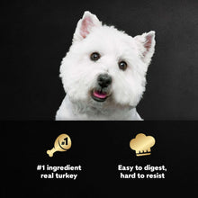 (3 pack) Cesar Filets in Gravy Turkey Recipe Flavor Adult Wet Dog Food, 3.5 oz Tray - Brands For Less USA