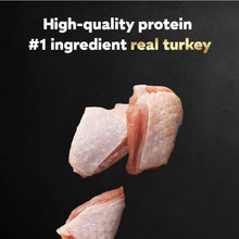 (3 pack) Cesar Filets in Gravy Turkey Recipe Flavor Adult Wet Dog Food, 3.5 oz Tray - Brands For Less USA