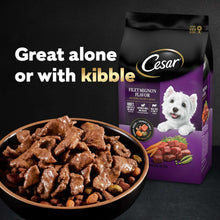 (3 pack) Cesar Filets in Gravy Turkey Recipe Flavor Adult Wet Dog Food, 3.5 oz Tray - Brands For Less USA